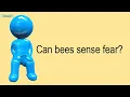 Can Bees Sense Fear