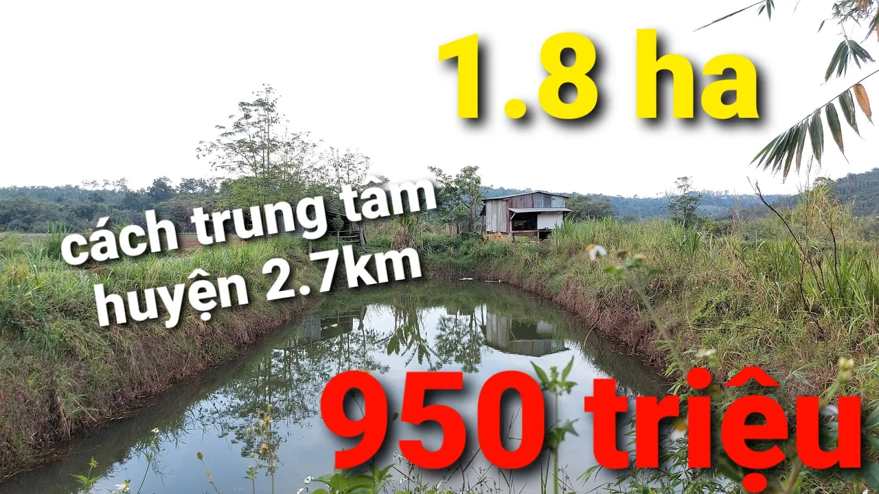 Bán 1.8ha đất vườn tiêu và sầu riêng. cách trung tâm huyện đắk song 2.7km. giá 950 triệu.