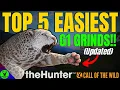 Top 5 EASY GREAT ONES You NEED to GRIND FIRST Updated - Call of the Wild