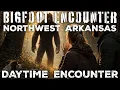 Off-Grid Woman Has Daylight Sasquatch Encounter in North Central Arkansas Near the Missouri Border