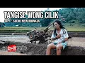 Download Lagu TANGISE WONG CILIK - SODIQ NEW MONATA ( OFFICIAL MUSIC VIDEO )