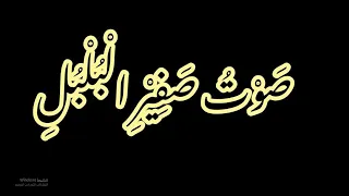 قصيدة صوت صفير البلبل بصوت جميل جدا  قصيدة صوت صفير البلبل بصوت جميل جدا
