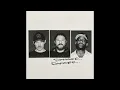 Dom Dolla, Skepta, Solomun - DANGER DANGER (Instrumental)