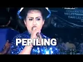 Download Lagu Nyi Wantikah Dan Nyi Yuyun - Pepiling,Tenggor - Langen Tayub Mardi Budoyo | Dangdut [OFFICIAL]