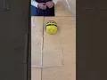 Year 1 - Bee Bot Success