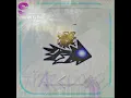danimal cannon and zef - parallel processing low pitch