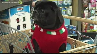 The Buzz Petco offering annual wellness plan for pet owners