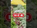 Business Spotlight - San Antonio H-E-B