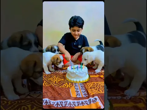 Happy birthday 🎂 #shorts #shortvideo #happybirthday #viralshorts #shaheerjutt