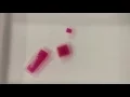 Diffusion of Phenolphthalein Agar Shapes Time Lapse