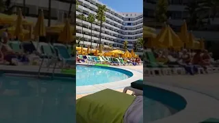 شوف المعاناة ديال الجالية في هولندا Amsterdam 