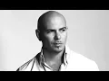 Pitbull s Height Weight Age Net Worth Education More