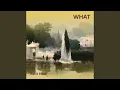 Download Lagu What