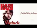 Download Lagu Hari Mata Hari - Poslednji valcer sa Dunava  (Audio 1997) HD