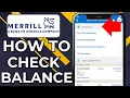 HOW TO CHECK MERRILL LYNCH 401K BALANCE 2026