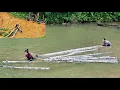 Download Lagu Agricultural Vehicles, Today was the hardest day of logging for the two sisters \u0026 facing the storm 
