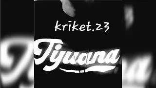 Kriket 616 Activos Y Puestos