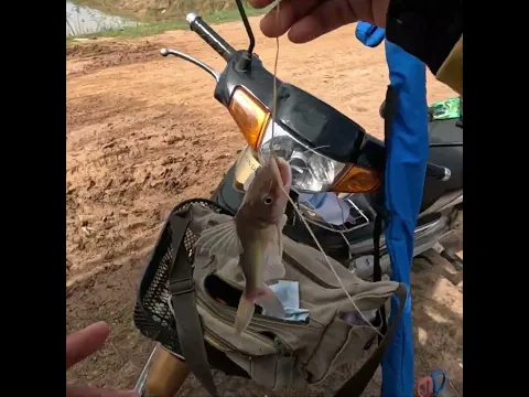 Close the fishing bait again.