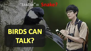 after 20 years this scientist proved birds can talk and use grammar