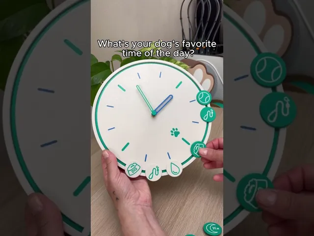 PAWROUTINE WALL CLOCK video thumbnail