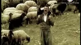 كوذا جنان ساوا 