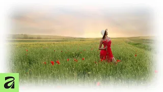 How To Blur The Edges Of Images In Affinity 