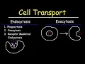 Cell Transport - Endocytosis Exocytosis Phagocytosis and Pinocytosis