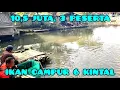 Download Lagu KELAS BERAT‼️TIKET SULTAN 10,5 JUTA, 3 ORANG IKAN CAMPUR 6 KINTAL GURAME MAS BAWAL NILA NILEM