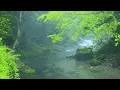 Download Lagu Musik Relaksasi : Terapi Otak Suara Alam Full, Relaksasi Tidur, Insomnia, Susah Fokus, Stress [93]