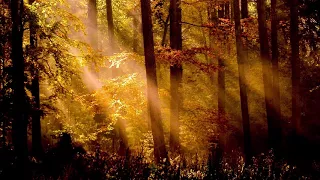 angel dreams healing song 15 minute meditation relaxation dreaming 