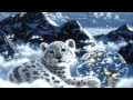 Download Lagu Tiger in the Rain ＊ Michael Franks
