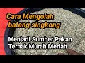 Download Lagu MURAH MERIAH ..... !!! Begini cara mengolah batang singkong jadi sumber pakan ternak