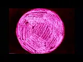 Laurence Guy - Untitled Needs [Official Video]
