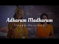 Download Lagu Adharam Madhuram (Slowed+Reverbed) | Radhakrishna Slowed and Reverbed Song ♥️🌍