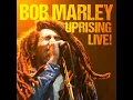 Zion Train (Live)