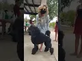 MR OH REALAY THE JACK BRADSHAW DOG SHOW