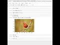 Imaging reading and showing in Python using Scikit