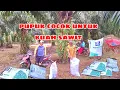 Download Lagu PANTAS SAJA TANDAN BUAH SAWITNYA BESAR PANEN BANYAK TERNYATA INI RAHASIA PUPUKNYA