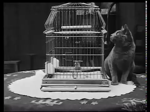 A Little Hero (1913)