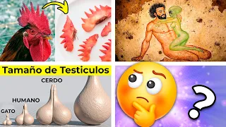 20 Cosas que NO Sabías hace 5 minutos ⏰😲