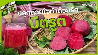 น้ำหมักไล่แมลงทำจากวัตถุดิบอะไรบ้าง และใช้อย่างไร