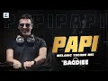 Lagu PAPI (Melodic Techno Mix) | DJ Baddiee | Eden Shalev | Papi Teri Shagan Karegi