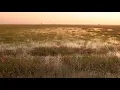 Texas Playa Conservation Initiative - TxN 2018 Conservation Wrangler