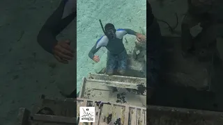 Exploring Amazing Reefs: Our Epic Fishing Adventure #fishingadventure  #ReefExploration