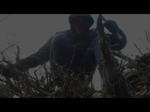Head-Hunter - SHORT FILM (2015)