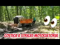 Download Lagu Am stricat motocultorul 😩😩 de la Căsuța din Pădure !!