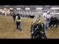 BHE 2023 Simmental Heifers