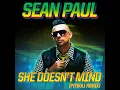 She Doesn't Mind (Pitbull Remix)