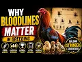 Why Bloodlines Matter in Breeding Understanding Genetics and Breeding Success