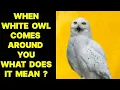 WHEN WHITE OWL COMES AROUND YOU WHAT DOES IT MEAN